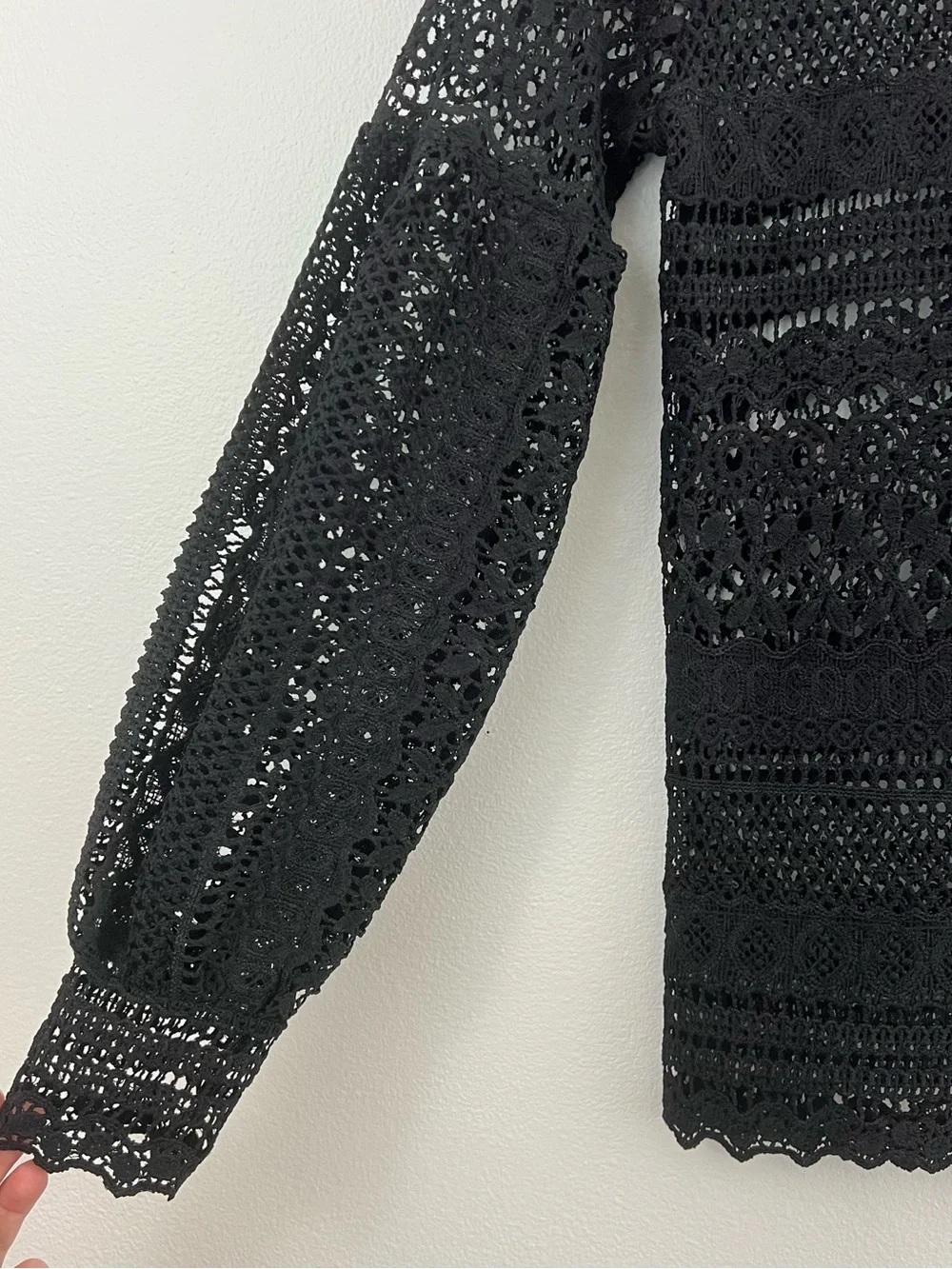Zara Black Crochet Lace Long Sleeve Blouse Sheer Balloon Sleeve Top 2 Whimsigoth